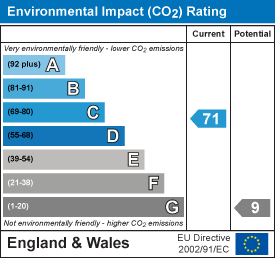 Environmental impact chart