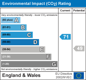 Environmental impact chart