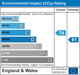 Environmental impact chart