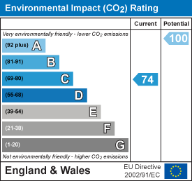 Environmental impact chart