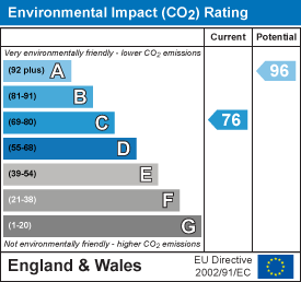 Environmental impact chart