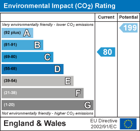 Environmental impact chart