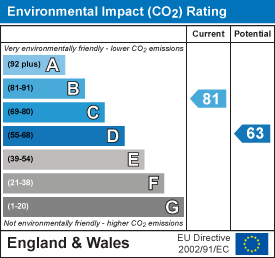 Environmental impact chart