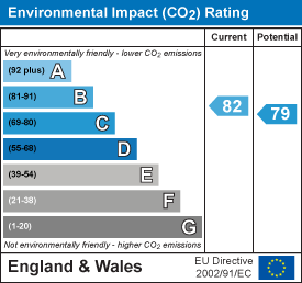 Environmental impact chart