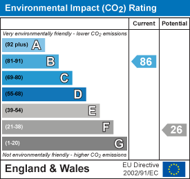 Environmental impact chart