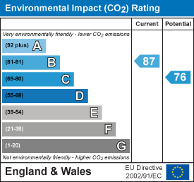 Environmental impact chart