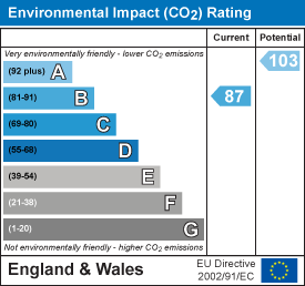 Environmental impact chart