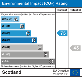 Environmental impact chart